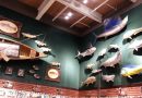 I visted the Bass Pro Shops in San Jose (Part 1)